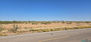 000 Hwy 418 SW, Deming, NM 88030 - photo 4