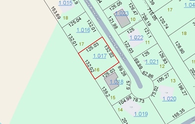 119 Weeping Willow Trail, Headland, AL 36345 - photo 4