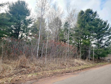 0 N 2nd St unit Tax ID 31588 6118828, Bayfield, WI 54814 - photo 6