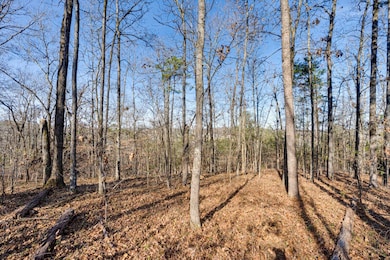 5831 Hunter Rd, Ooltewah, TN 37363 - photo 3