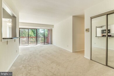 101 Skyhill Rd unit 203, Alexandria, VA 22314 - photo 4