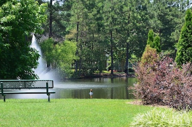 1045 Philpott Dr, Chapel Hill, NC 27517 - photo 4