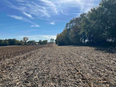 Parcel 5 Spring Saunders County Acreages County Rd, Yutan, NE 68073 - photo 5