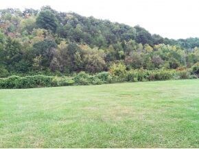 353 Woodlyn Rd, Johnson City, TN 37601 - photo 5