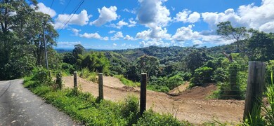 0 unit LOT 21, Juncos, PR 00777 - photo 5
