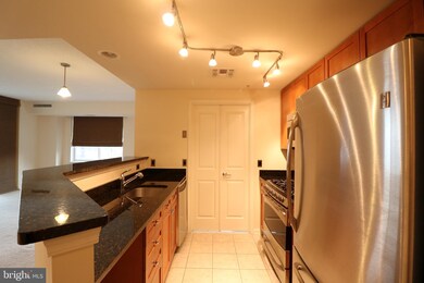 The Crescent unit 403, Silver Spring, MD 20910 - photo 2