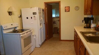 9739 E Carson City Rd, Carson City, MI 48811 - photo 3