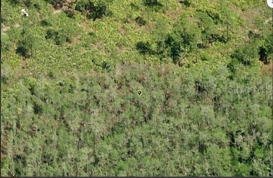 0 Dill Rd unit MFRO6234205, Orlando, FL 32820 - photo 3