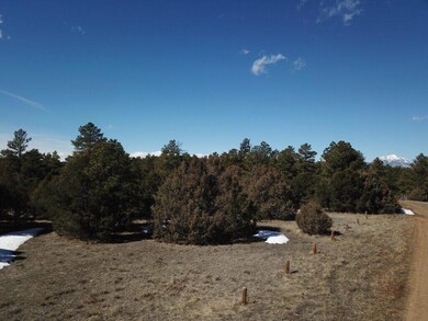 DJI_0031-1024x768