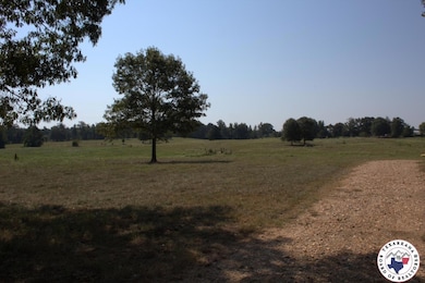 TBD Mc 10 & 268, Fouke, AR 71854 - photo 6