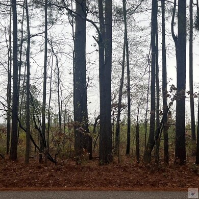 TBD Mc 226, Texarkana, AR 71854 - photo 7