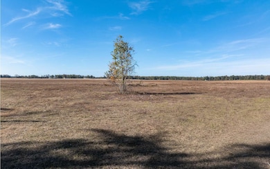 80AC NW 44th St, Jennings, FL 32053 - photo 4