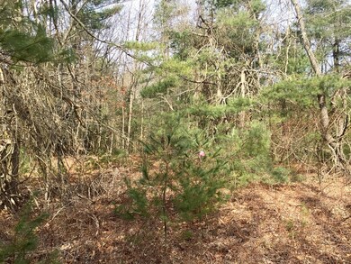 3 Webster St, Douglas, MA 01516 - photo 5