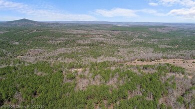 Tract 5 SE 179th, Wilburton, OK 74578 - photo 4