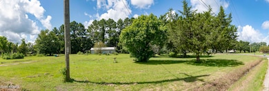 1204 dermelie front 3