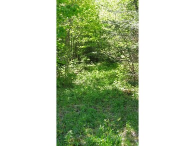 16/1 Main St, Bethlehem, NH 03574 - photo 6