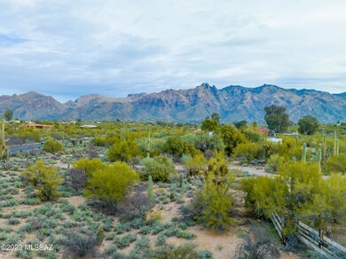 Unobstructed Views