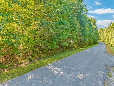 Lot 3&4 W Laurel Way, Monterey, TN 38574 - photo 6