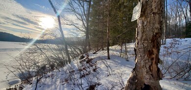 2057 New Hampshire 16, Albany, NH 03818 - photo 3