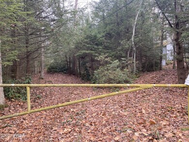 115 Ambler Trail, Dingmans Ferry, PA 18328 - photo 7