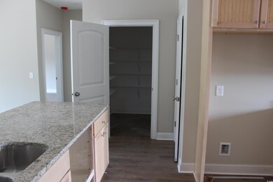 4119 Highway 19 unit Lot 2, Hemlock Alt, Conway, SC 29526 - photo 2