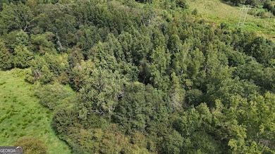 10 Red Rose Rd, Nicholson, GA 30565 - photo 3