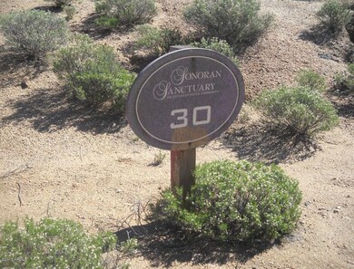 Lot Marker 30