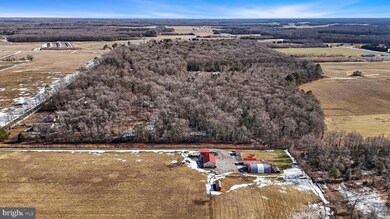 696 Spectrum Farms Rd, Felton, DE 19943 - photo 6