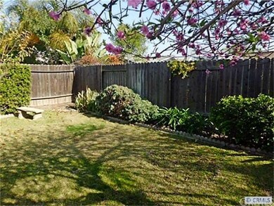Beautiful back yard