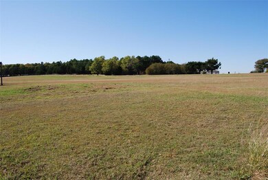 277 Kirk Ave, Pottsboro, TX 75076 - photo 2