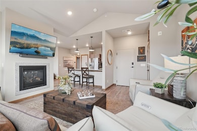 1700 Wildfire Rd unit 301, Estes Park, CO 80517 - photo 7