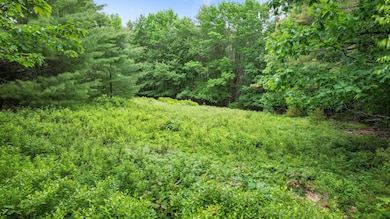00 Front Ridge Road, Orland, ME 04472