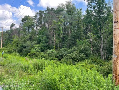 L21.2 Goode St, Malta, NY 12020 - photo 6