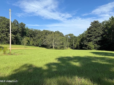 1156 Boone Rd, McComb, MS 39648 - photo 5