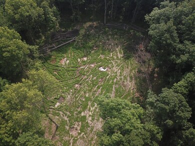 000 Beard Rd, Xenia, IL 62899 - photo 7