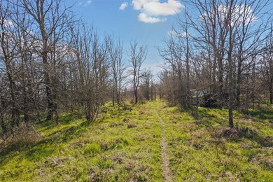 252 County Road 4691, Boyd, TX 76023 - photo 4