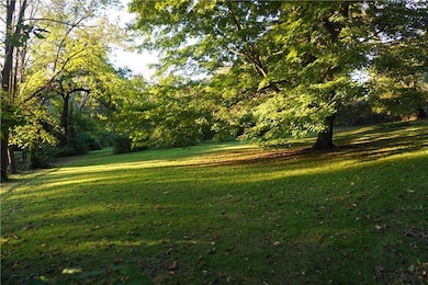 Amazing Park Like Level Yard!