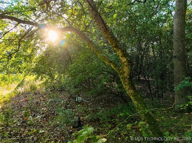 0 Pecan Rd unit 2543198, Kingston, OK 73439 - photo 5