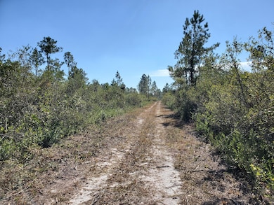 0 SW Wire Rd, Lee, FL 32059 - photo 6