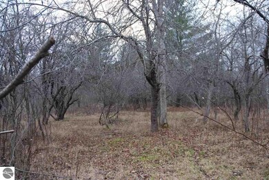 Trim these Apple tree's up and imagine the deer th