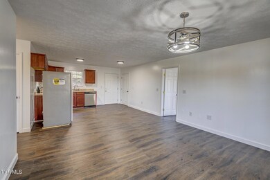 unlisted-address, Newport, TN 37821 - photo 7