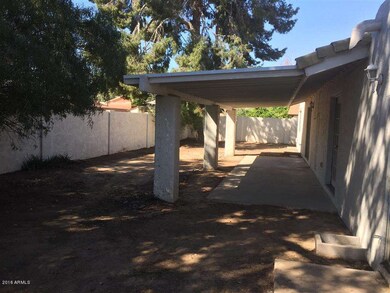 Back Patio