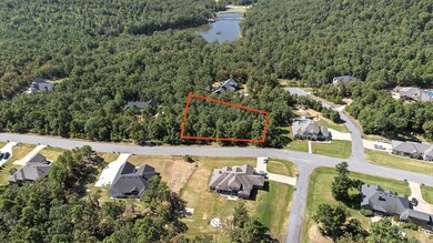 9911 Panther Mountain Rd, North Little Rock, AR 72113 - photo 7