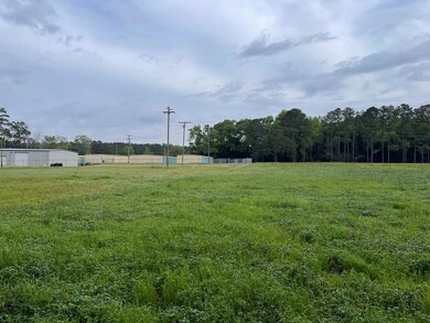 0 Us Hwy 319 N unit 920680, Thomasville, GA 31795 - photo 4