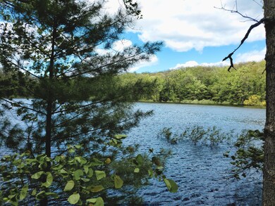 0 50th unit 20019251, Bitely, MI 49309 - photo 7