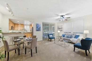 Mid Town Plaza unit 248, San Jose, CA 95126 - photo 4