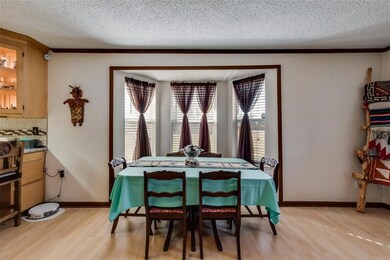 202 Beaudelaire Dr, Weatherford, TX 76087 - photo 6