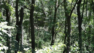 TBD Glendale Rd, New Cumberland, WV 26047 - photo 3