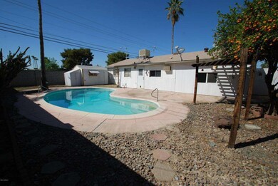 back yard & pool