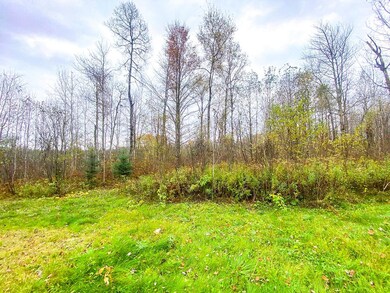 N9466 Ross Rd, Tripoli, WI 54564 - photo 6